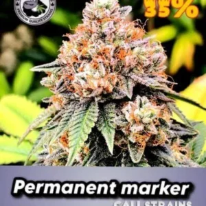 Cali strain seeds