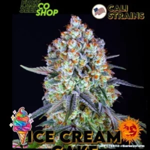 ICE CREAM CAKE BARNEYS FARM SEEDS